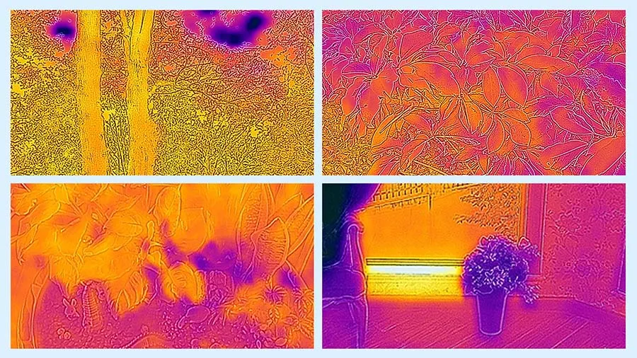 Can A Thermal Camera Detect Moisture Level Of The Topsoil? Can A Thermal Camera Detect Moisture Level Of The Topsoil?