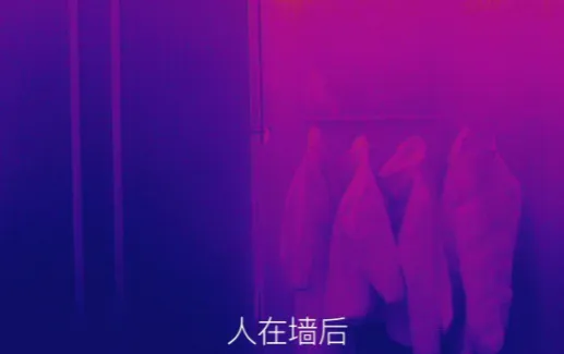 Can Infrared Thermal Imaging Really See Through Walls? Can Infrared Thermal Imaging Really See Through Walls?