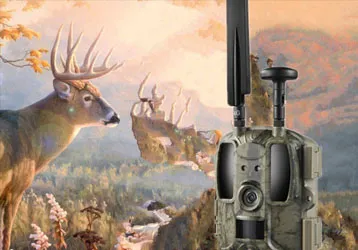 The AM-8 wildlife infrared trigger camera can maintain good performance in harsh environments such as snow and storms
